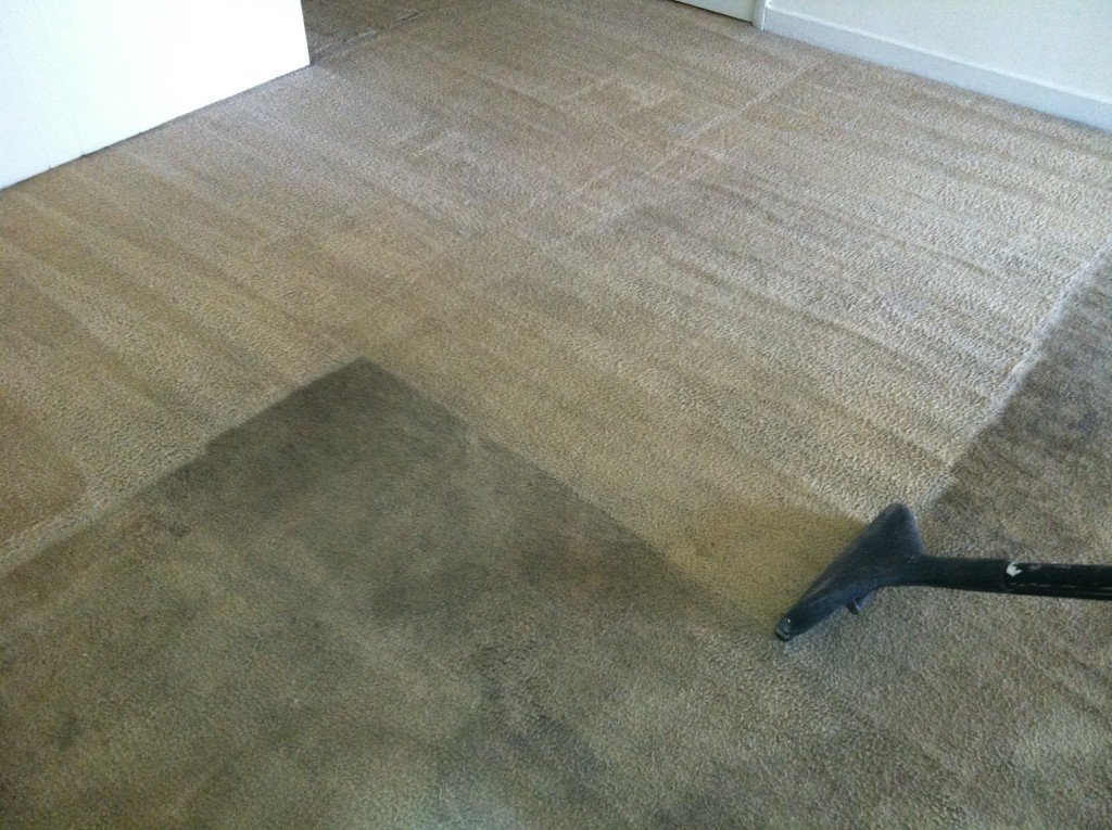 How To Keep Your Carpets Clean Longer