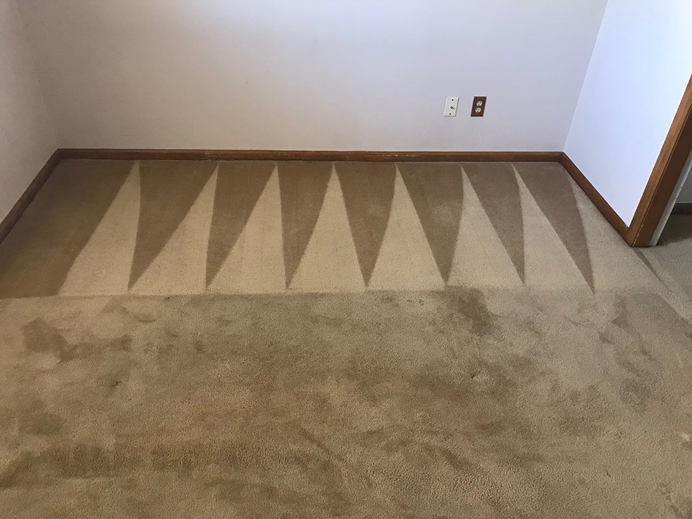 Carpet Cleaning Before and After Fort Collins Colorado